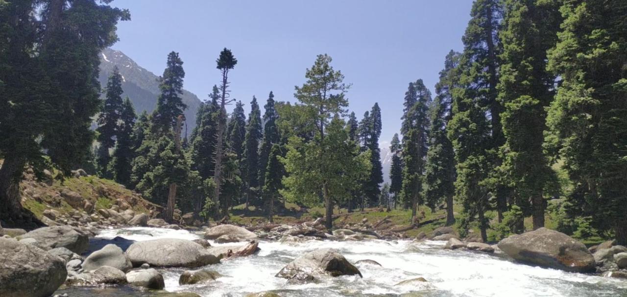 New Relax Inn, Pahalgam, 2 Km From Lidder Valley Exteriér fotografie